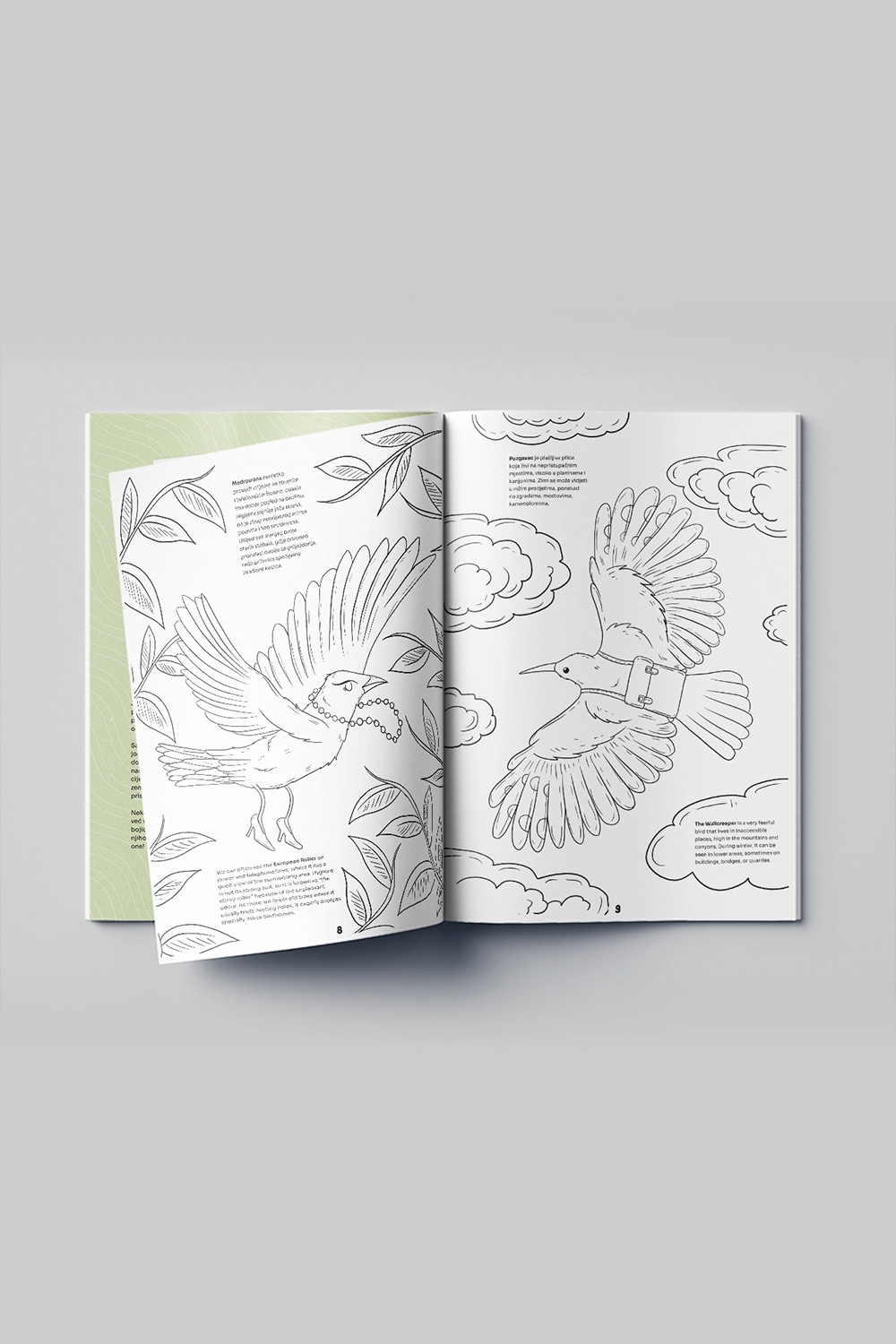 Birds of Montenegro (2nd edition) - Image 2