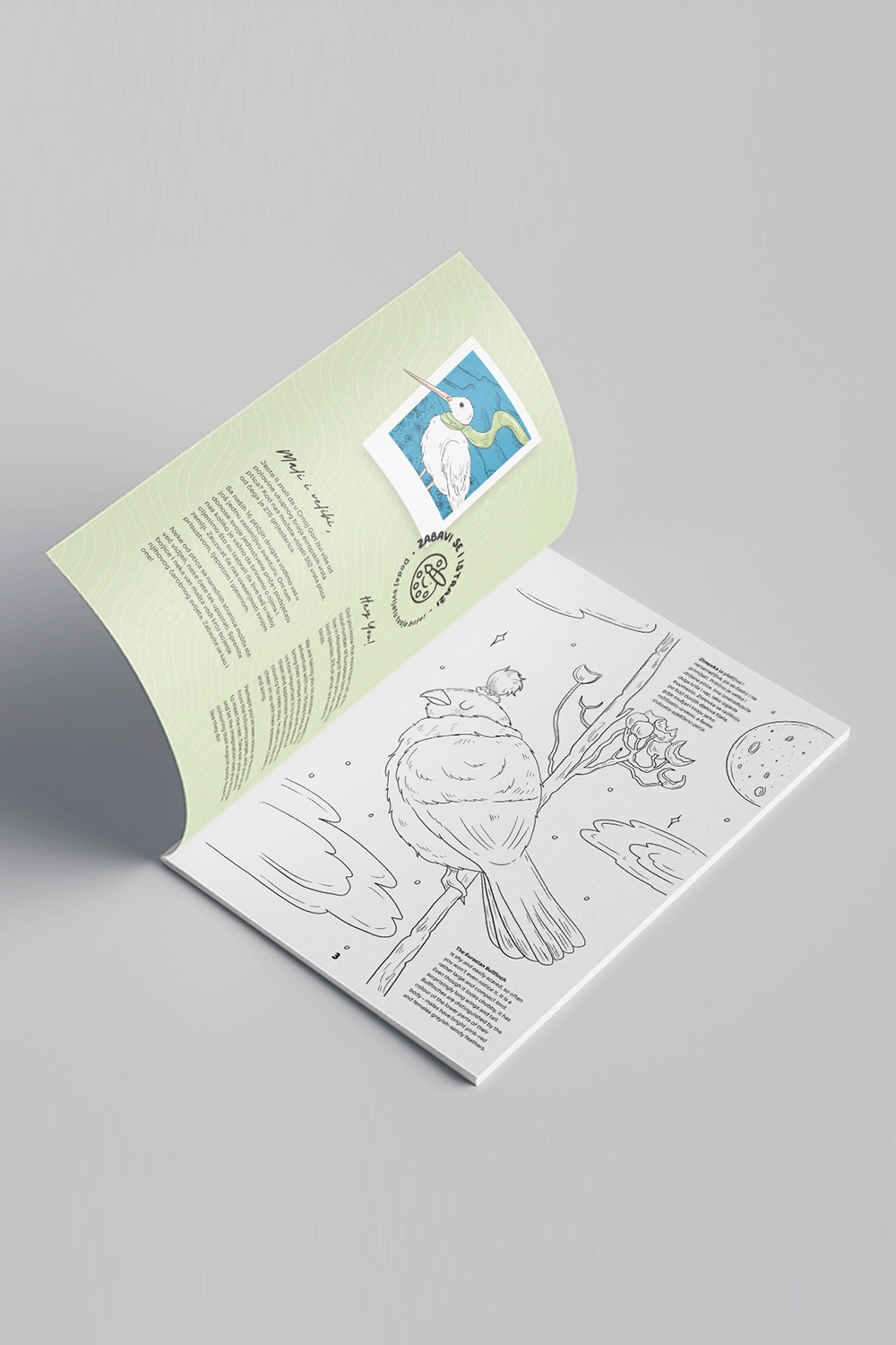 Birds of Montenegro (2nd edition) - Image 3